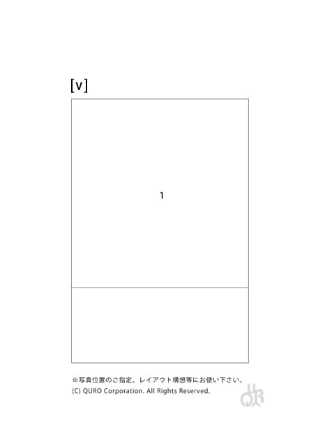 型番【v】画像配置図