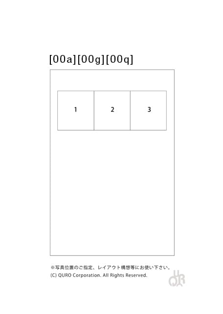 型番【00a】画像配置図