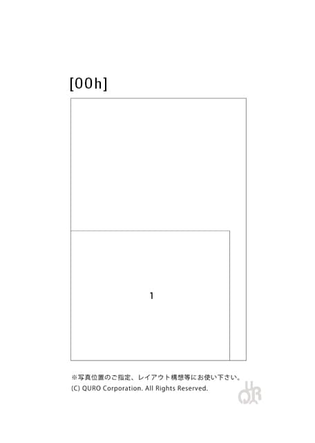 型番【00h】画像配置図