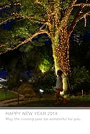 背景カラーを楽しみつつ、縦向き写真をめいっぱい活かしたいというご要望にお応えしたポストカード見本画像 NYr2